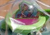 THE JETSONS US WENDY'S MEAL TOY WFbg\YiFƑWFbg\j~[gC